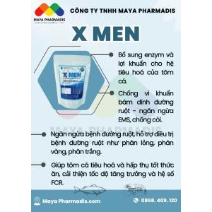 Siêu nấm men X Men